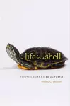 Life in a Shell cover