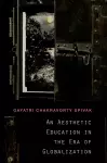 An Aesthetic Education in the Era of Globalization cover