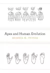 Apes and Human Evolution cover