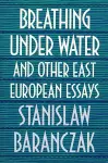 Breathing under Water and Other East European Essays cover