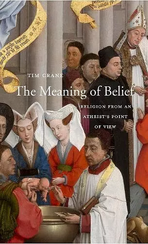 The Meaning of Belief cover