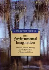 The Environmental Imagination cover