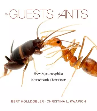 The Guests of Ants cover