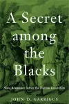 A Secret among the Blacks cover