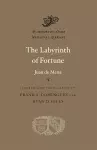 The Labyrinth of Fortune cover