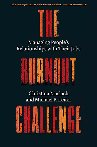 The Burnout Challenge cover