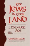 The Jews in Their Land in the Talmudic Age cover