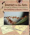 Journey to the Ants cover