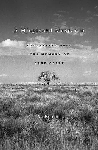 A Misplaced Massacre cover