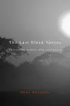 The Last Blank Spaces cover