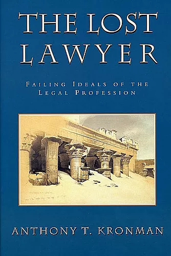 The Lost Lawyer cover