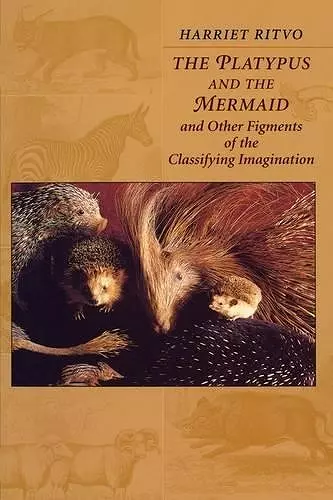 The Platypus and the Mermaid cover