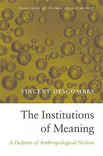 The Institutions of Meaning cover