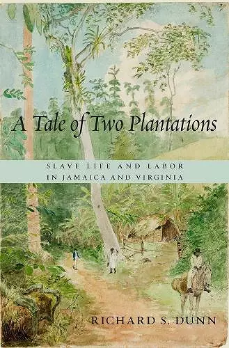 A Tale of Two Plantations cover