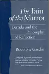 The Tain of the Mirror cover