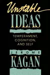 Unstable Ideas cover