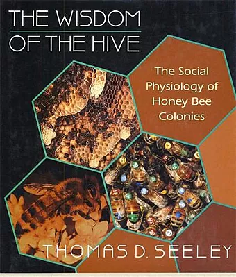 The Wisdom of the Hive cover