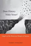 Does History Make Sense? cover