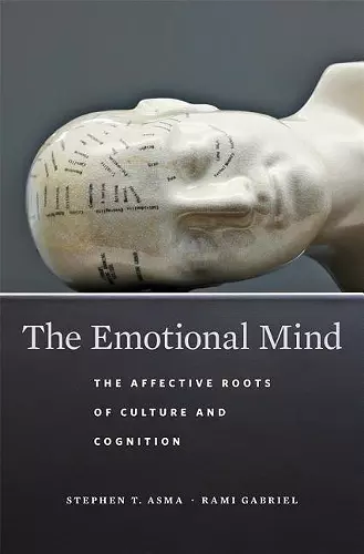 The Emotional Mind cover