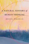 A Natural History of Human Thinking cover