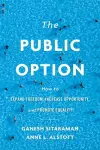 The Public Option cover