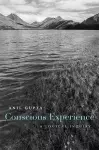 Conscious Experience cover