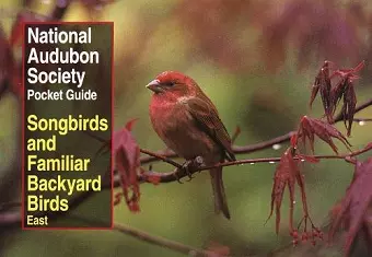 National Audubon Society Pocket Guide to Songbirds and Familiar Backyard Birds: Eastern Region cover