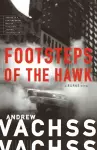 Footsteps of the Hawk cover