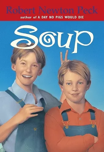 Soup cover