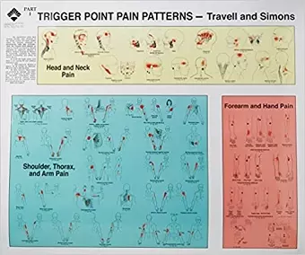 Travell and Simons' Trigger Point Pain Patterns Wall Charts cover