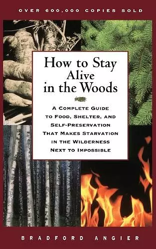 How to Stay Alive in the Woods cover