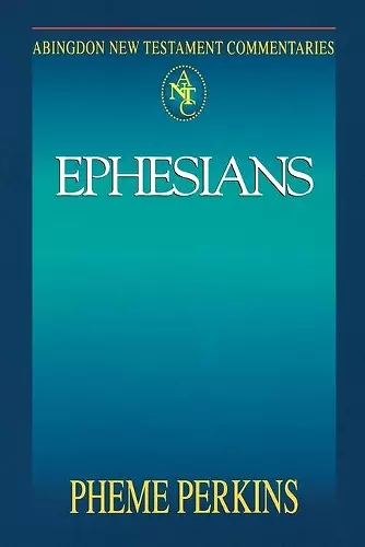 Abingdon New Testament Commentaries cover