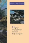 The Undivided Soul cover