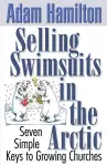 Selling Swimsuits in the Arctic cover