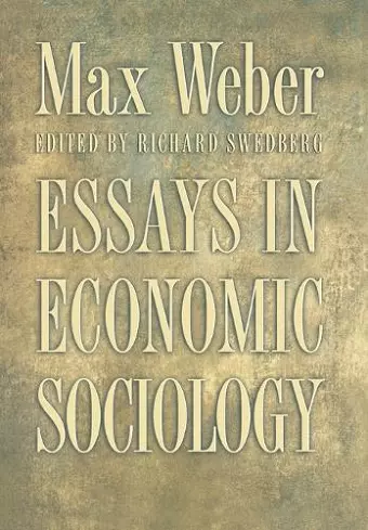 Essays in Economic Sociology cover