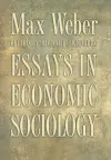 Essays in Economic Sociology cover