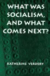 What Was Socialism, and What Comes Next? cover