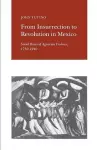 From Insurrection to Revolution in Mexico cover