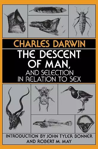 The Descent of Man, and Selection in Relation to Sex cover