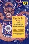 Fire in the Dragon and Other Psychoanalytic Essays on Folklore cover