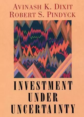 Investment under Uncertainty cover