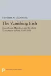 The Vanishing Irish cover