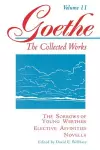 Goethe, Volume 11 cover