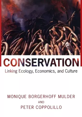 Conservation cover