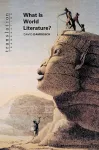What Is World Literature? cover