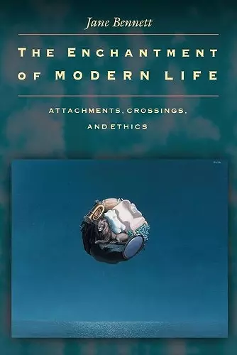 The Enchantment of Modern Life cover