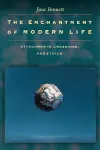 The Enchantment of Modern Life cover