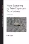 Wave Scattering by Time-Dependent Perturbations cover