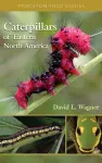 Caterpillars of Eastern North America cover