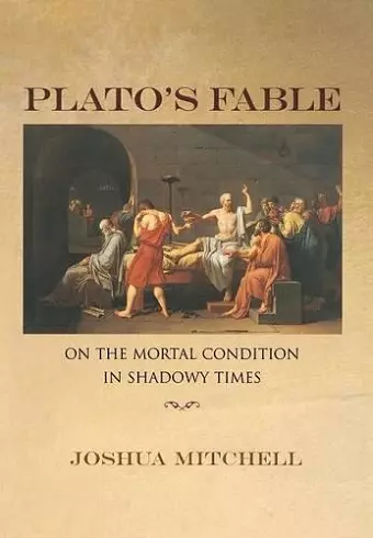 Plato's Fable cover